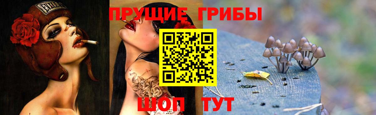 купить наркоту  Галлюциногенные грибы мицелий  Вход с VPN  Светлоград 
